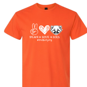 2025 #endbullying cces orange youth t shirt