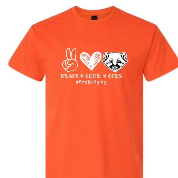 2025 #endbullying cces orange youth t shirt